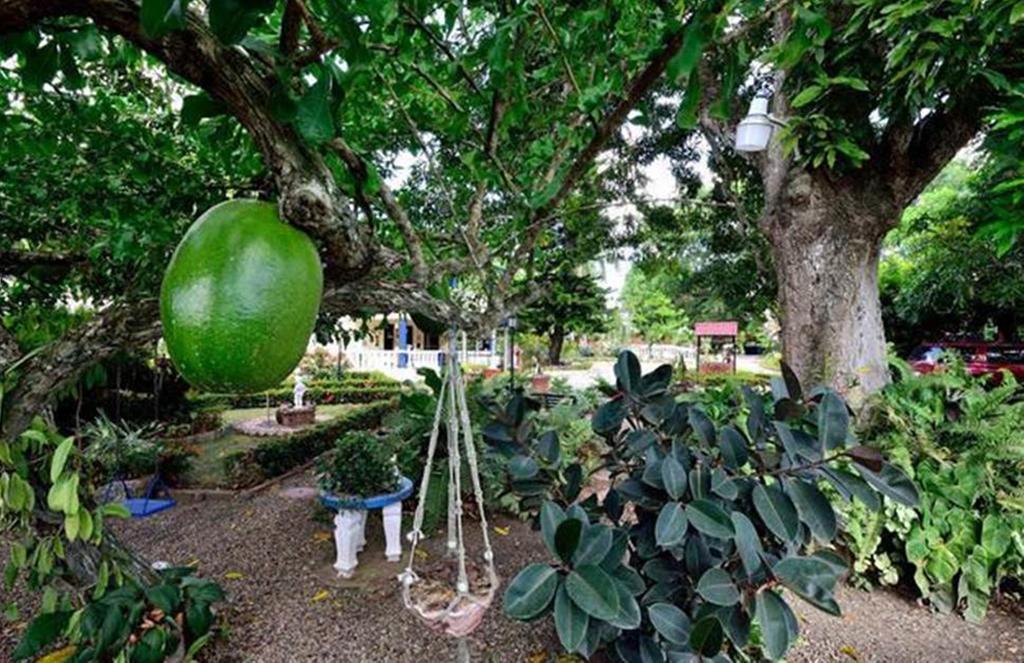 Sana El Jardin Secreto Hostel Santiago De Los Caballeros Kültér fotó